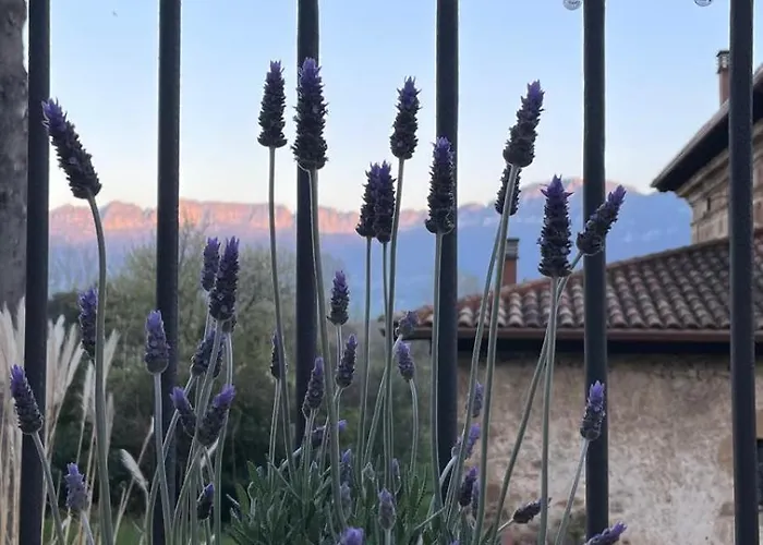 Casa Mi Capricho Дом отдыха